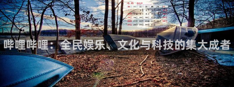迷妹漫画app旧版下载：哔哩哔哩：全民娱乐、文化与科技的集大成者